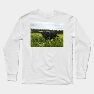 Scottish Highland Cattle Bull 2016 Long Sleeve T-Shirt